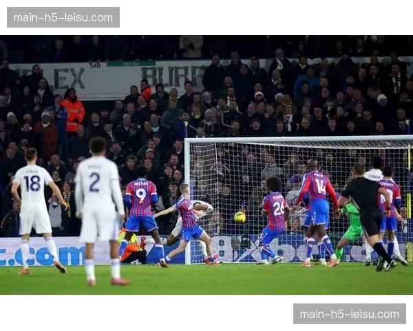 莱切0-2不敌佛罗伦萨，遭遇主场三连败